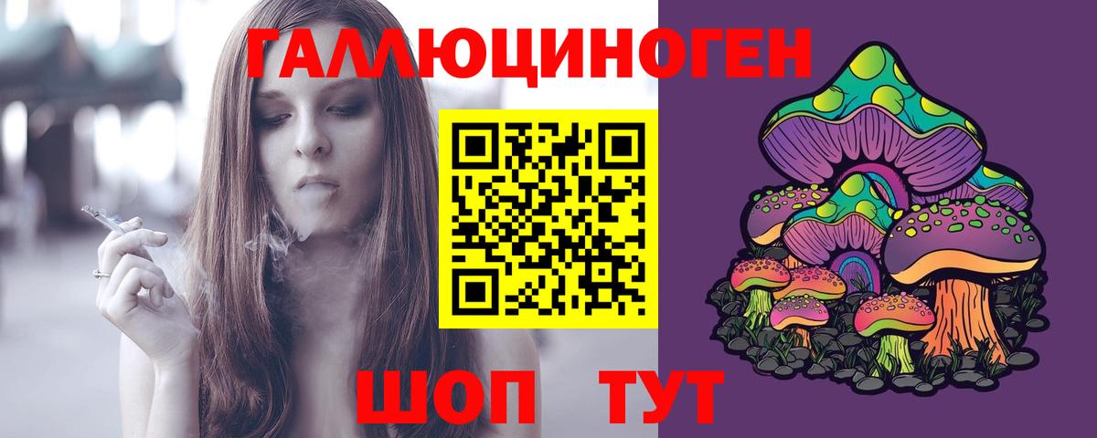 Псилоцибиновые грибы Cubensis Новошахтинск